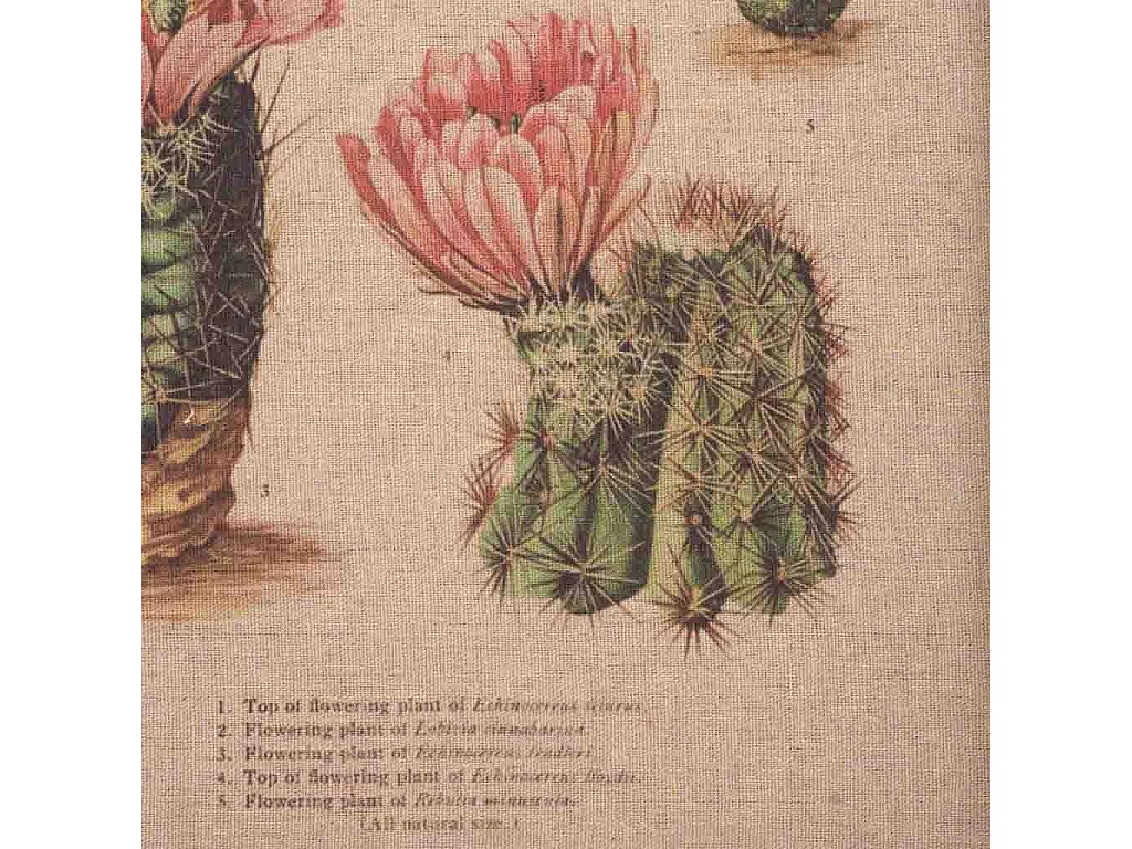 Cornice in legno e tessuto