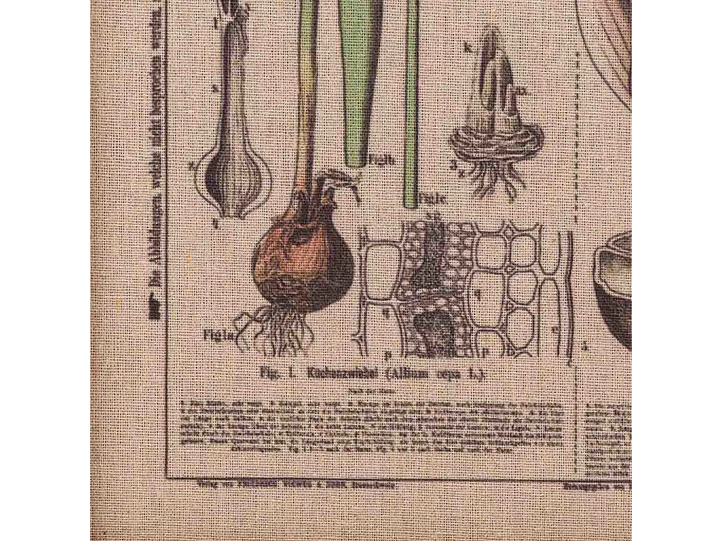 Quadro de madeira e tecido impresso