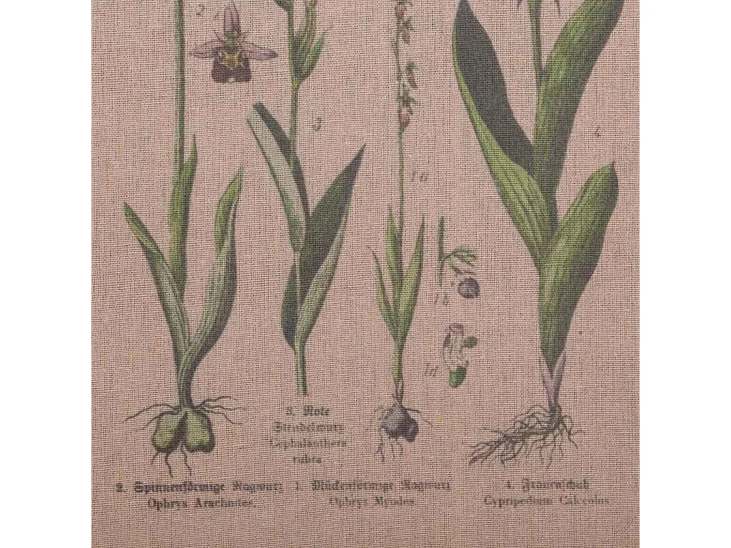 Quadro de madeira e tecido impresso