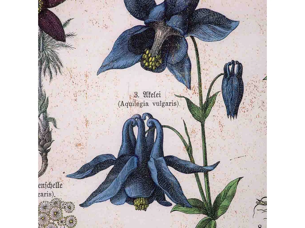 Cadre en bois et tissu