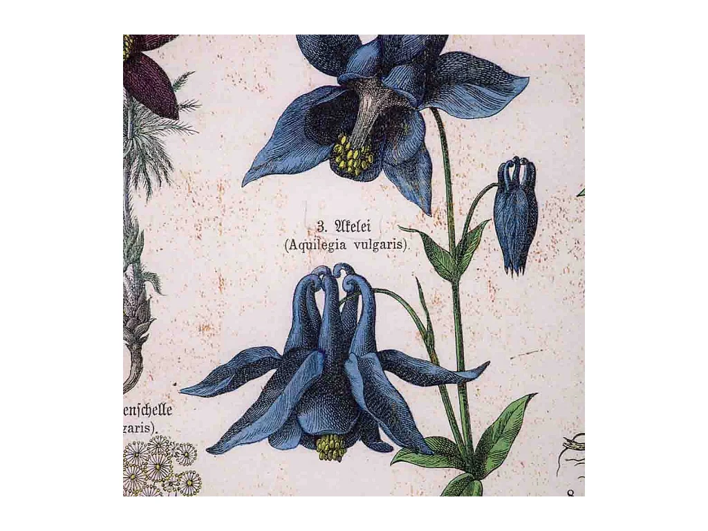 Rahmen aus Holz und Stoff