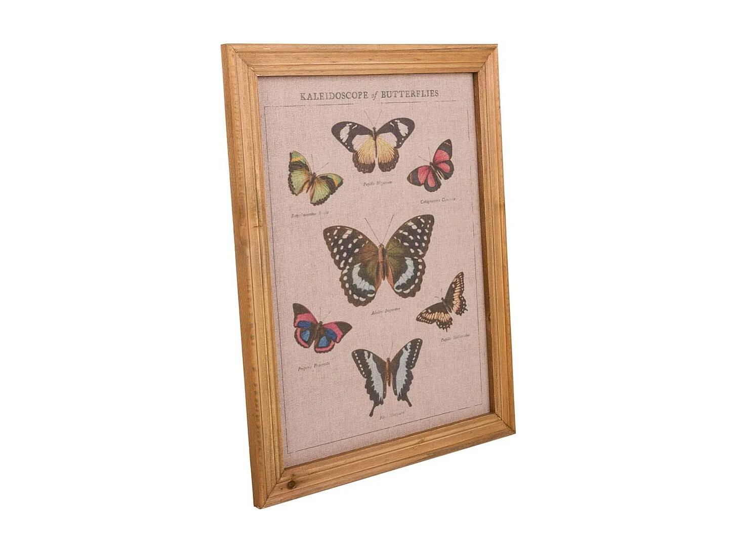 Quadro de madeira e tecido impresso