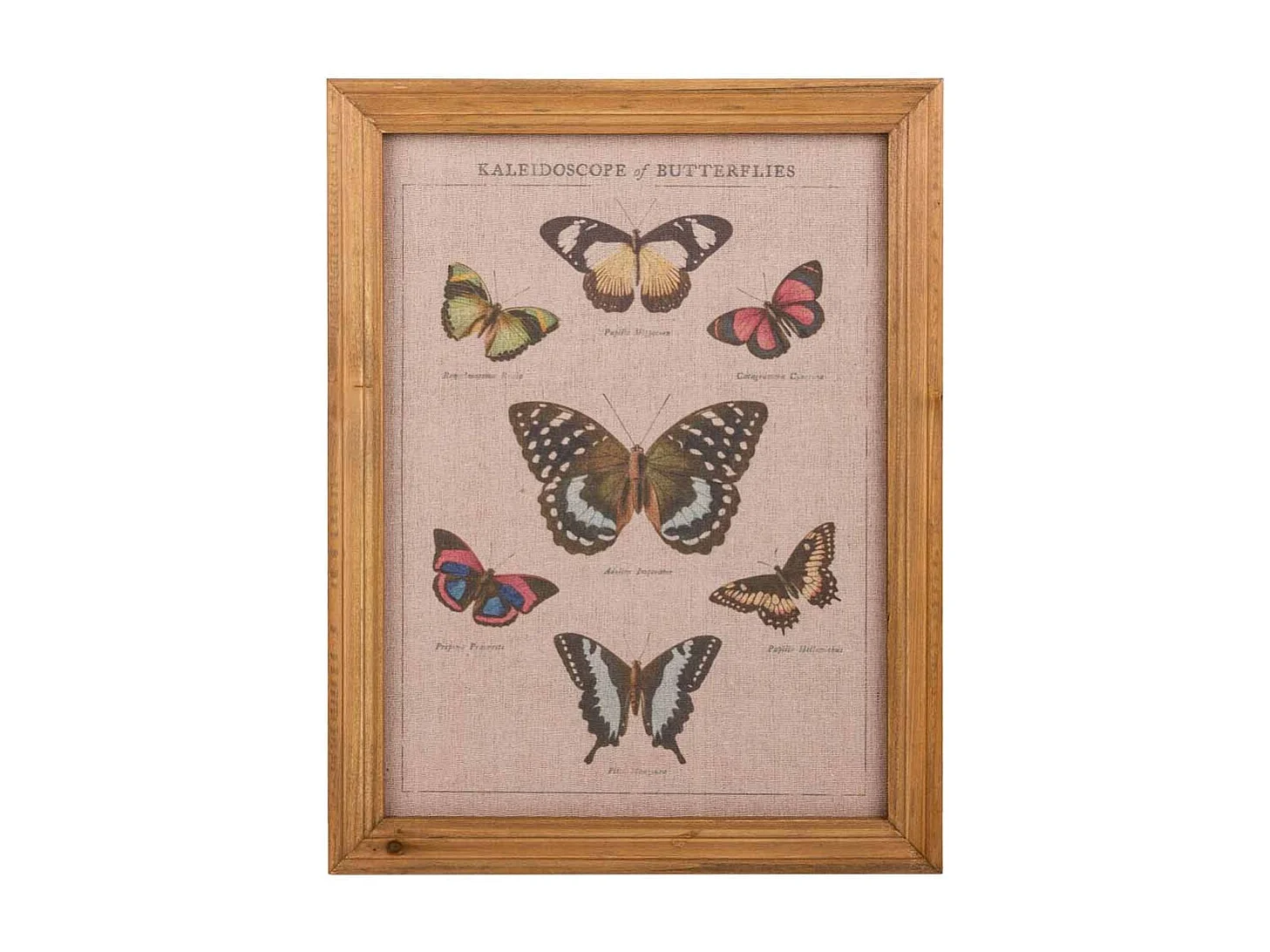 Quadro de madeira e tecido impresso