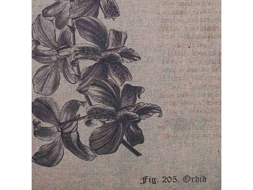 Quadro de madeira e tecido impresso