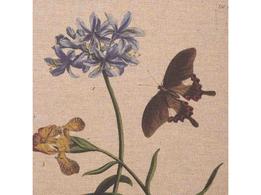 Rahmen aus Holz und Stoff