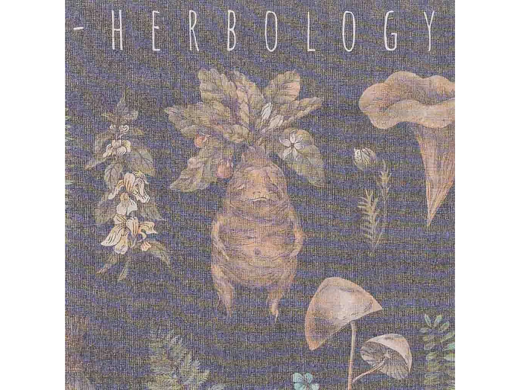 Lona de tecido impressa em pergaminho