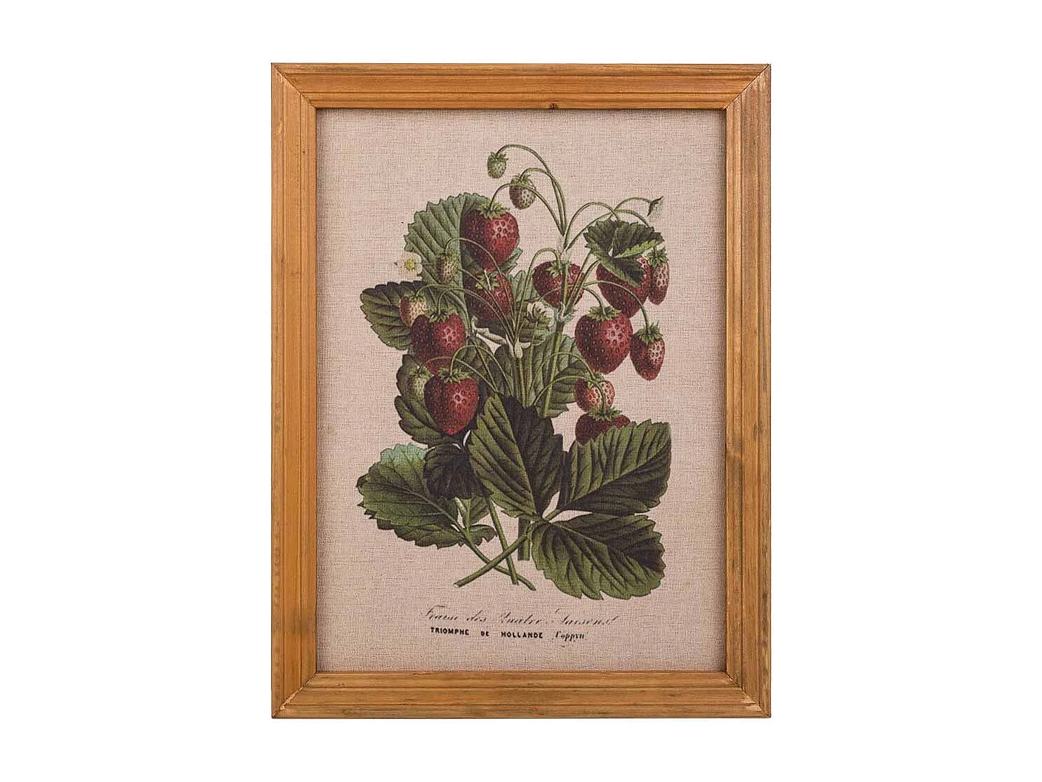 Quadro de madeira e tecido impresso