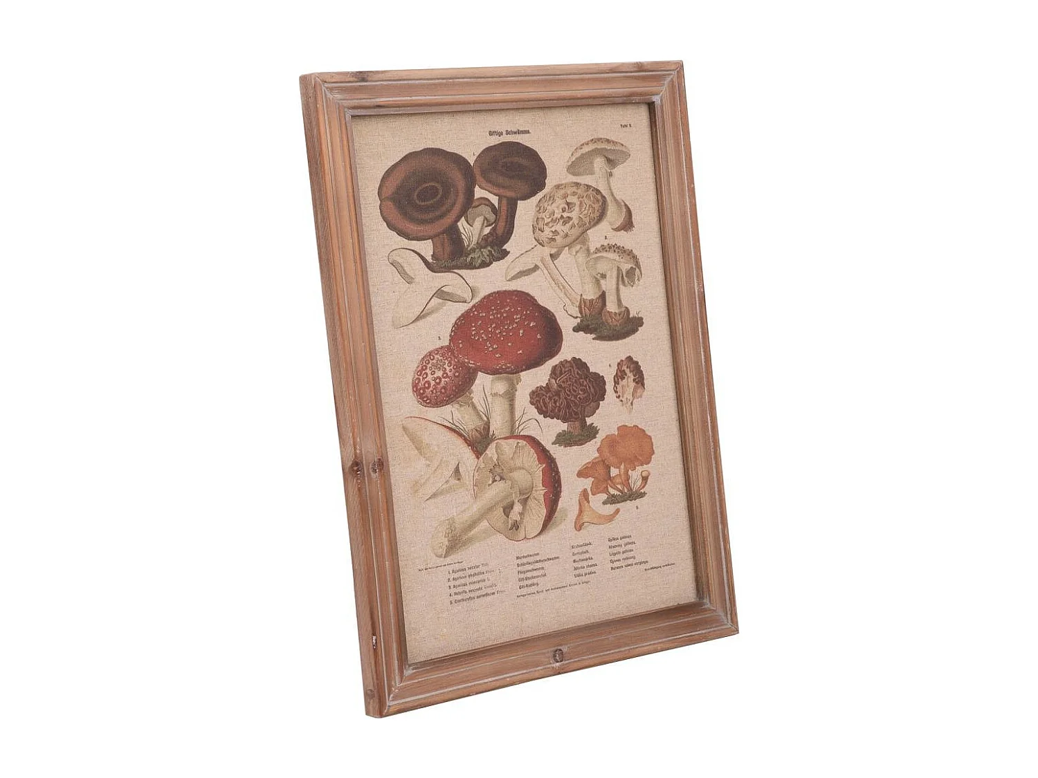 Rahmen aus Holz und Stoff