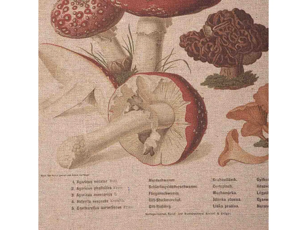 Cornice in legno e tessuto