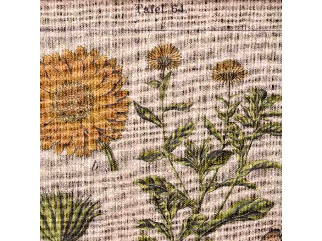 Quadro de madeira e tecido impresso