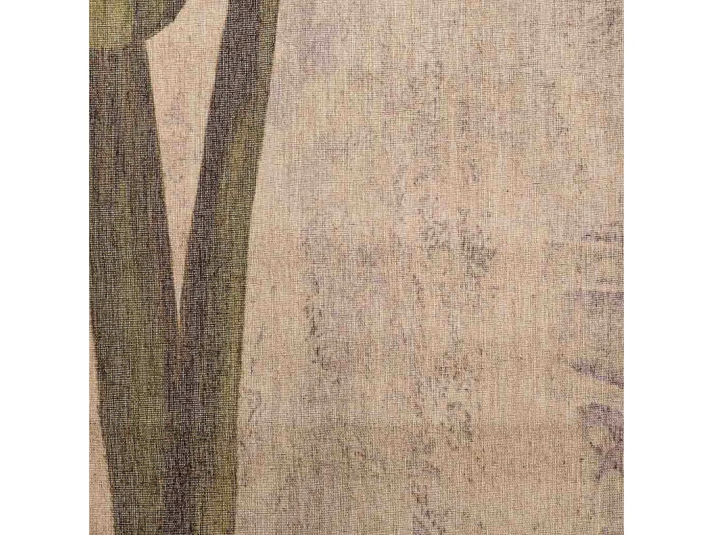 Lienzo pergamino de tela impresa 38x157x2,5