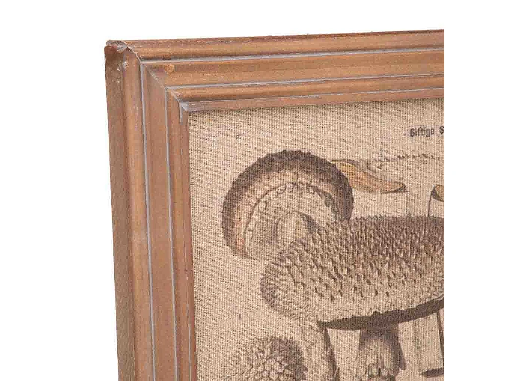 Cuadro madera y tela 33x43x1,8