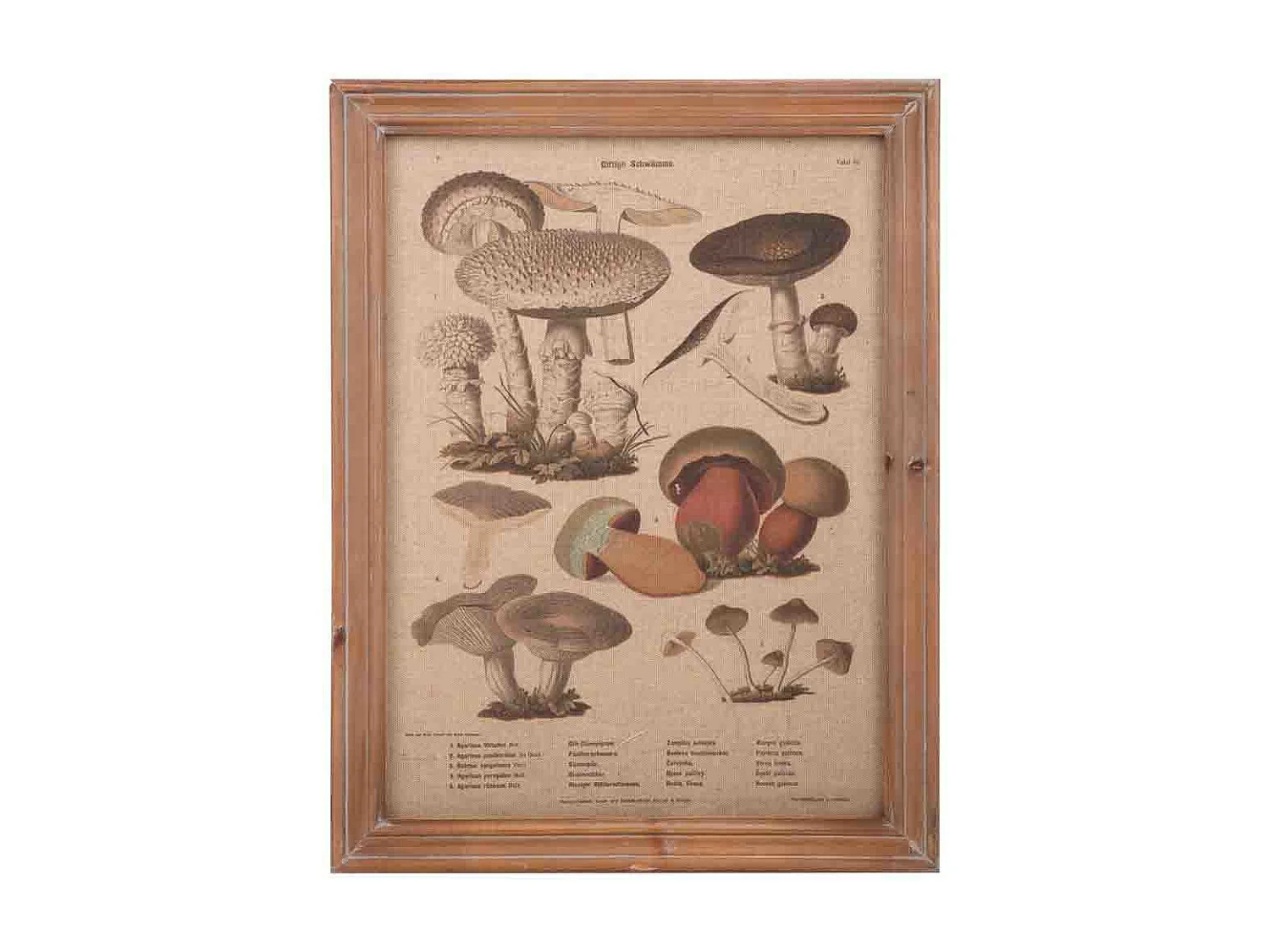 Quadro de madeira e tecido