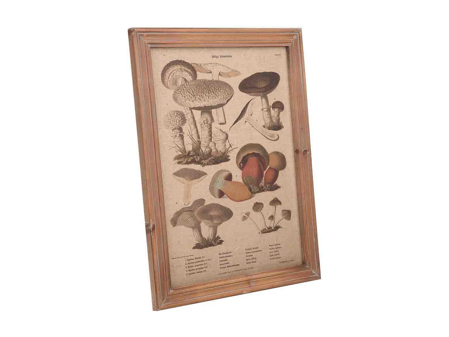 Quadro de madeira e tecido