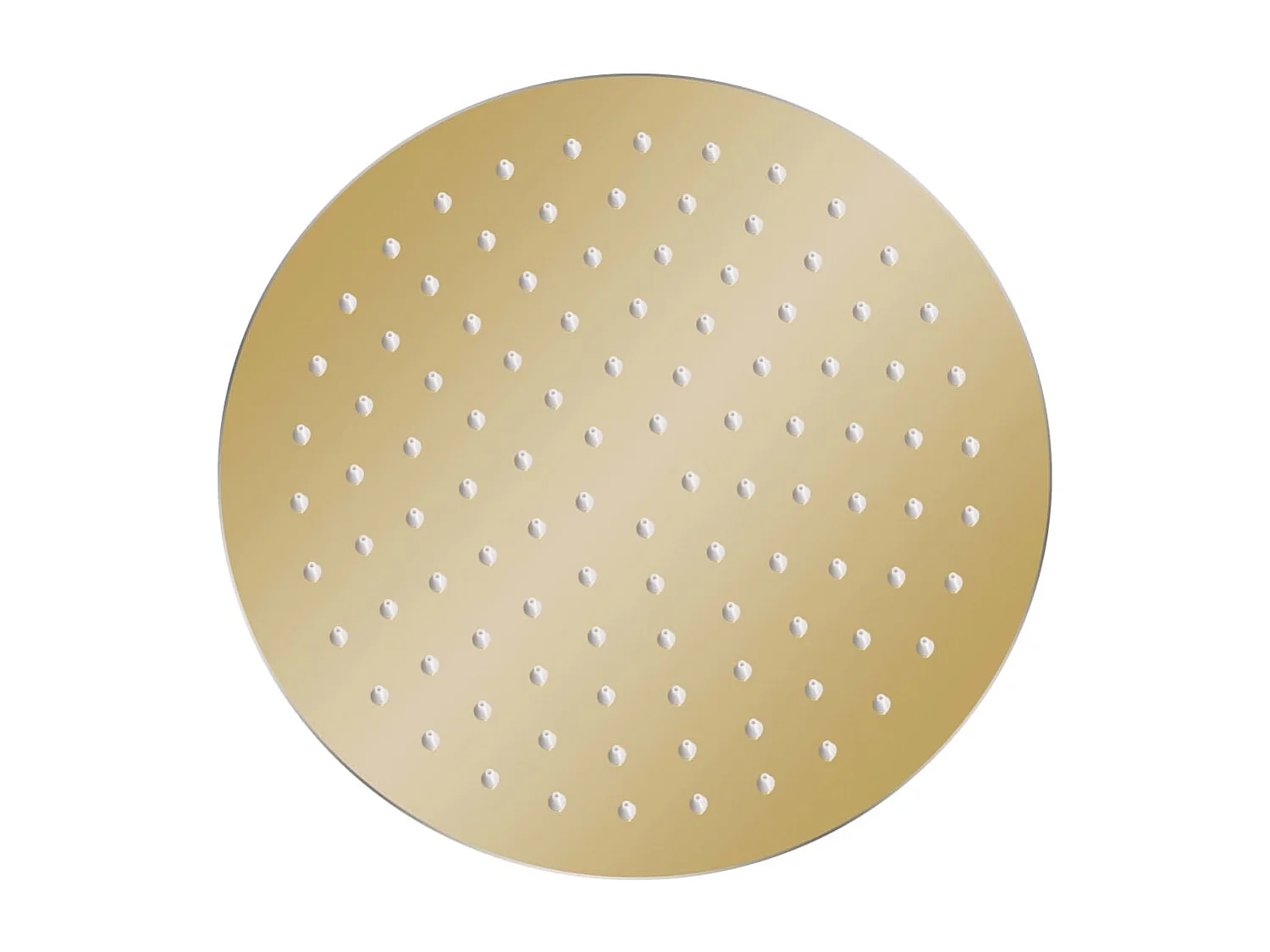 Alcachofa de ducha tipo lluvia Rociador Alcachofa de ducha Alcachofa de ducha de mano Accesorio de baño Acero inoxidable 25 cm Redondo Dorado 02_0002086