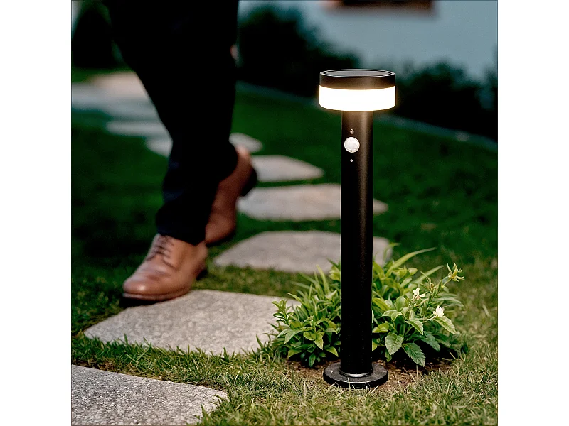 Balise Extérieure sur Pied Solaire LED 50cm Aluminium Ashier Noir