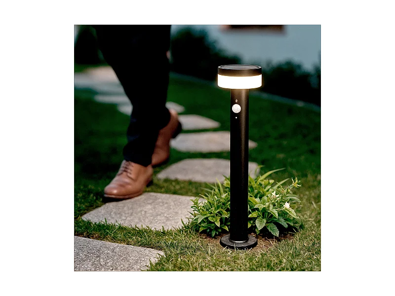 Balise Extérieure sur Pied Solaire LED 50cm Aluminium Ashier Argent