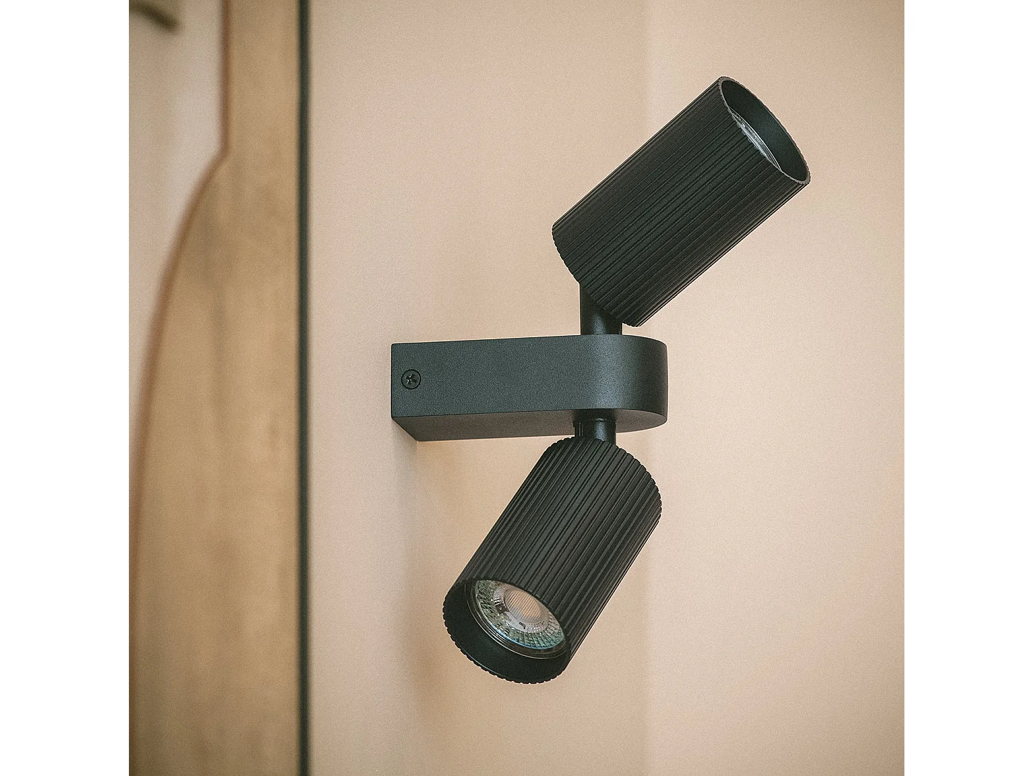 Plafonnier Aluminium Aritz 2 Spots Noir