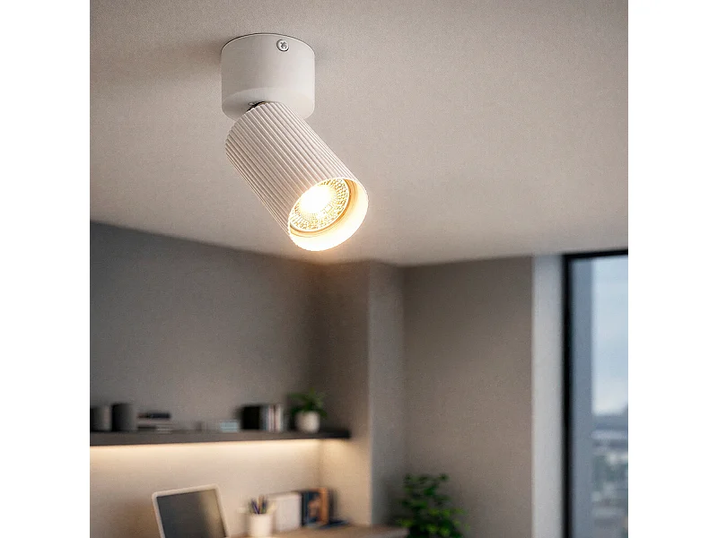 Aplique de Techo Aluminio Aritz 1 Foco Blanco