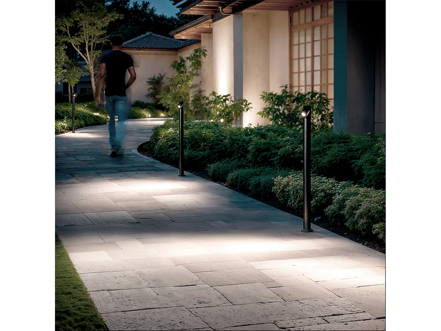 Faretto per Esterni LED 6W con Picchetto Rihard Nero