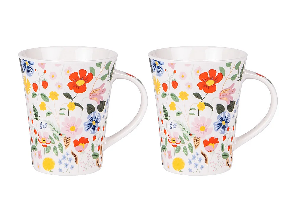 Coffret de 2 mugs Naturalia 39 cl