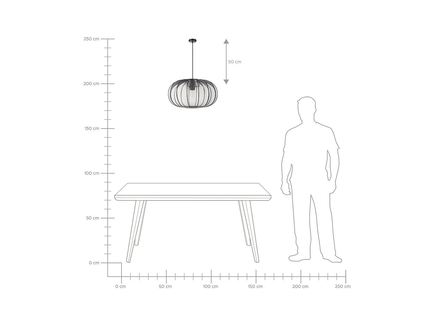 Hanglamp TOCUYO Zwart