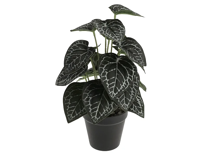 Herzstück Tetto mittelgrün 33 x 20