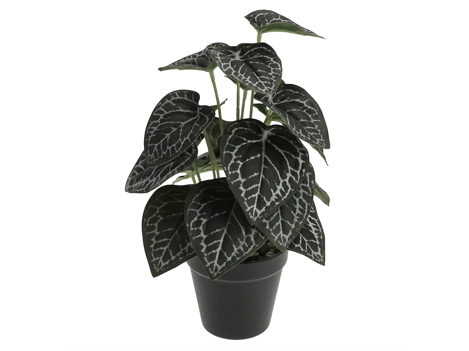 Herzstück Tetto mittelgrün 33 x 20