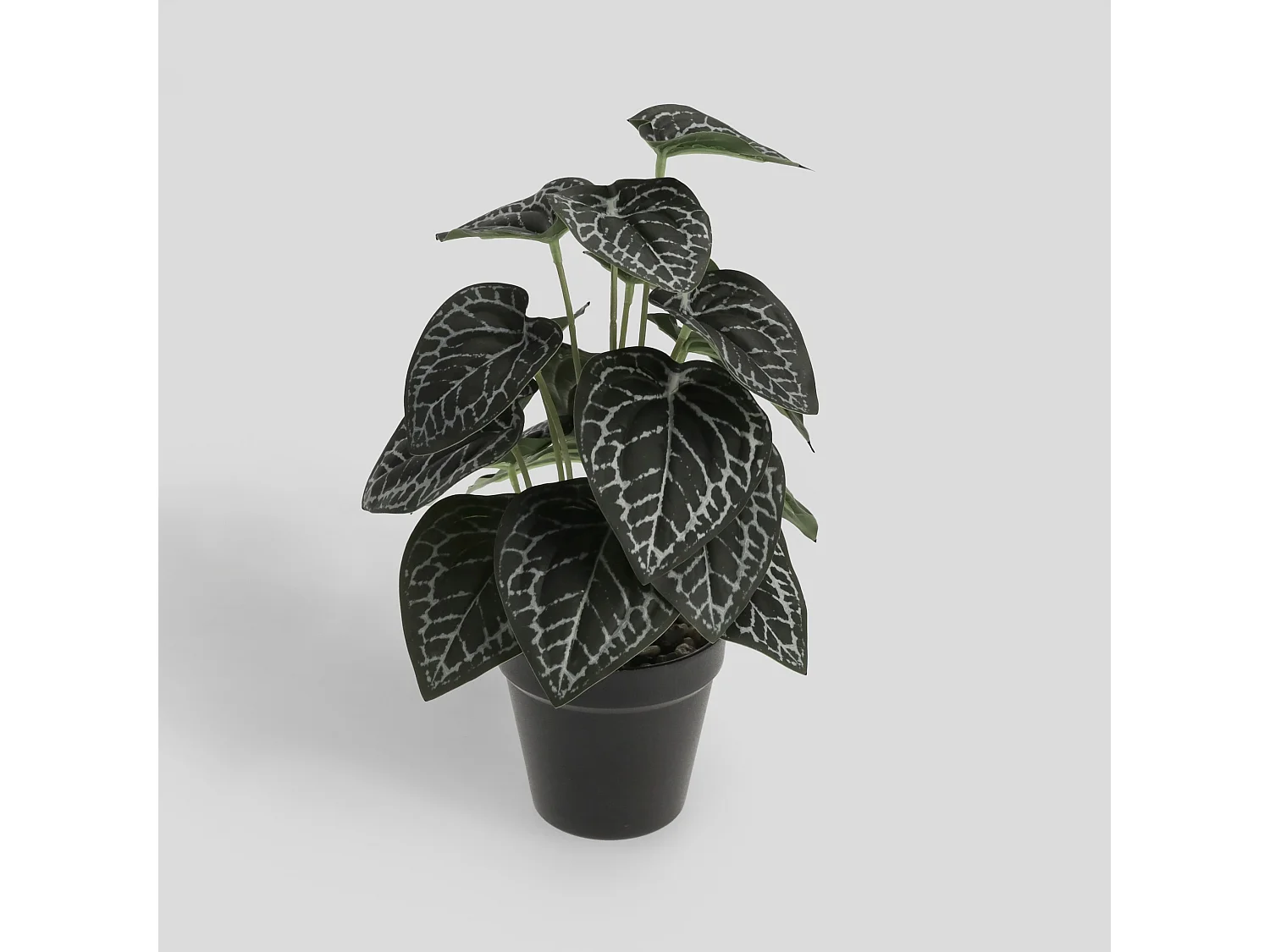 Herzstück Tetto mittelgrün 33 x 20