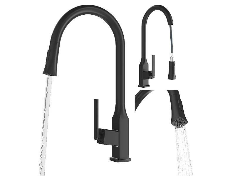 MITIGEUR CUISINE AVEC DOUCHETTE EXTRACTIBLE DOUBLE FONCTION NOIR MAT PASO