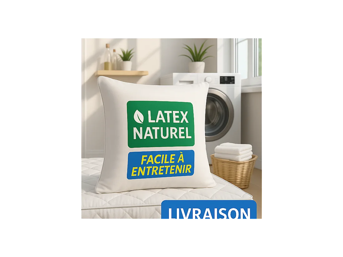 Lot de 2 OREILLERS 60x60 en LATEX NATUREL OREILLER CONFORT SOUPLE et MOELLEUX OREILLER en MOUSSE de LATEX GARANTIE à VIE