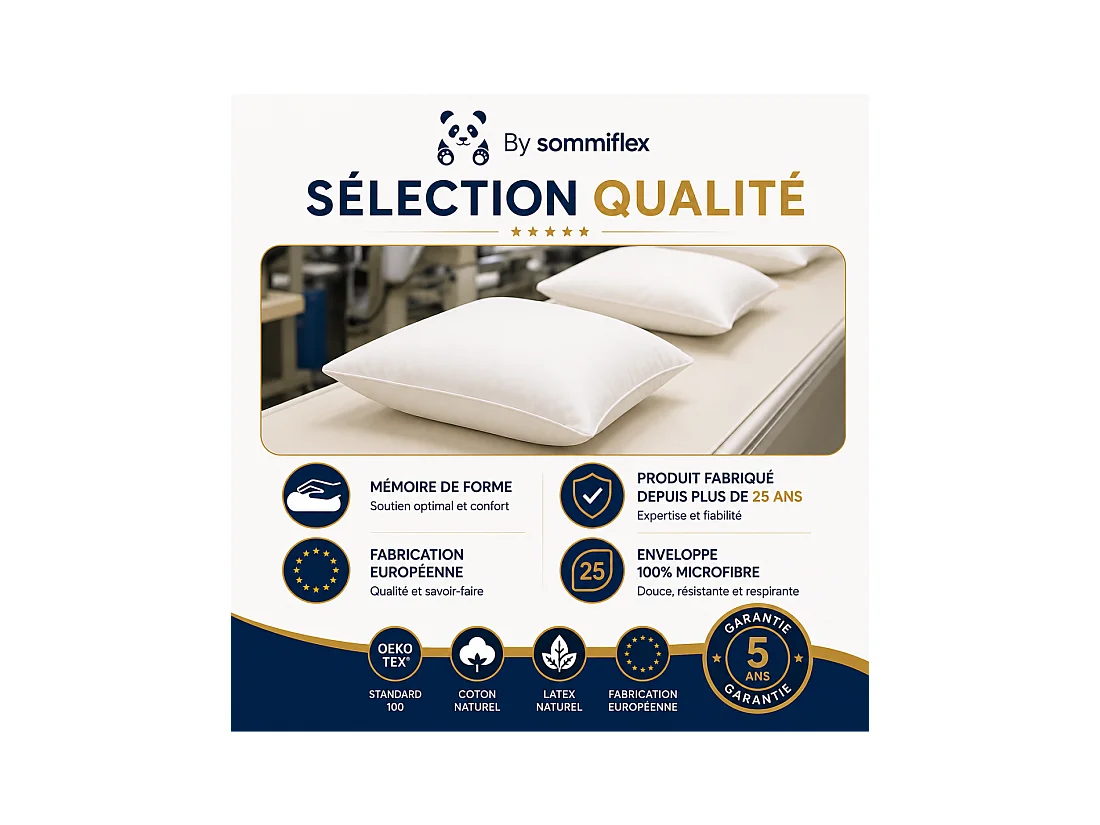Lot de 2 OREILLERS 60x60 en LATEX NATUREL OREILLER CONFORT SOUPLE et MOELLEUX OREILLER en MOUSSE de LATEX GARANTIE à VIE