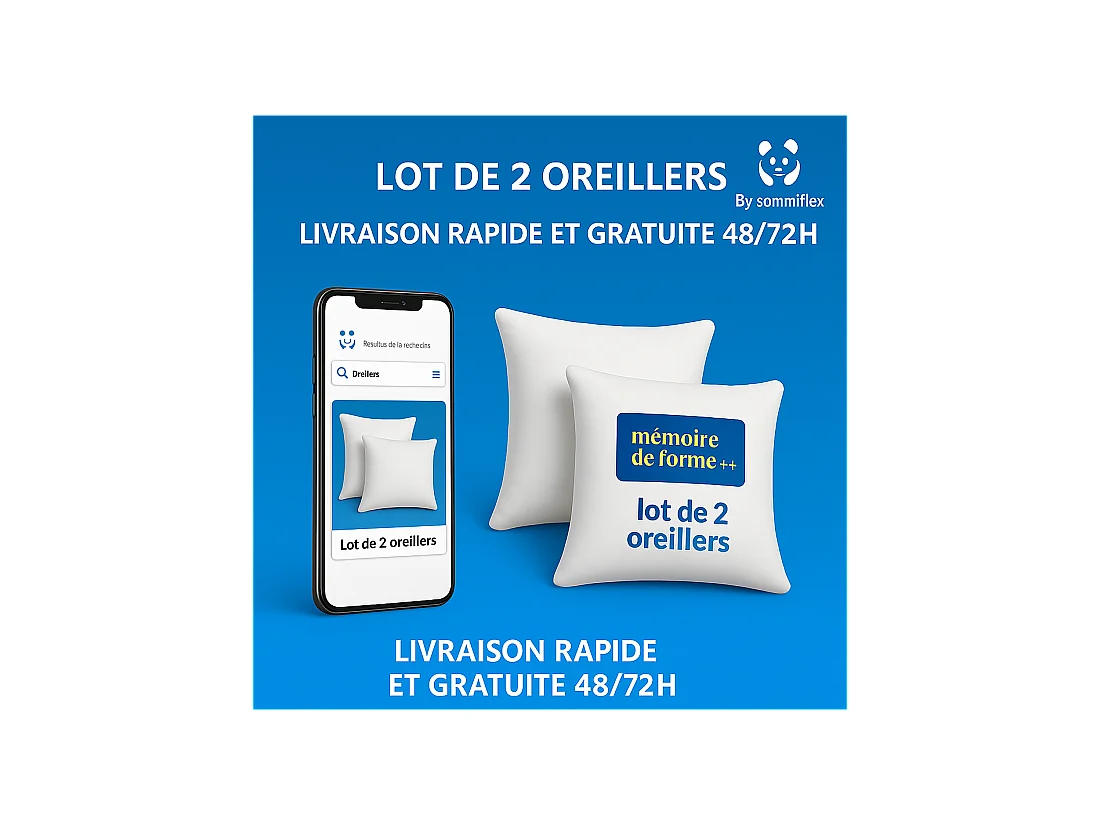 LOT de 2 OREILLERS 60x60 MÉMOIRE de FORME SPÉCIAL CERVICALES GARANTIE à VIE