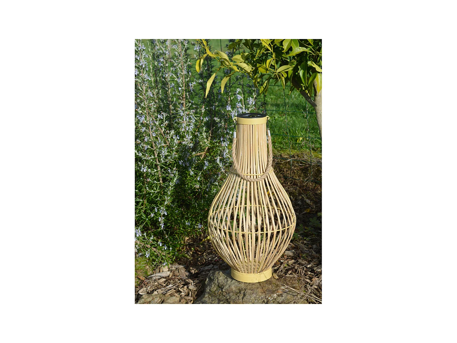 Lanterne solaire bambouVase - Orium