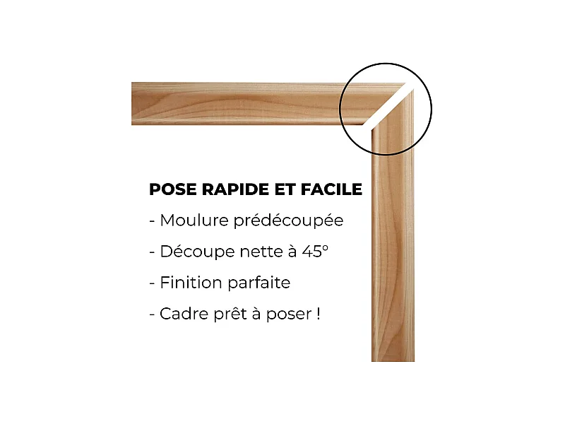 KIT MOULURES 42X14MM DE SOUBASSEMENT DECOR 5 - 3M - FSC 100%