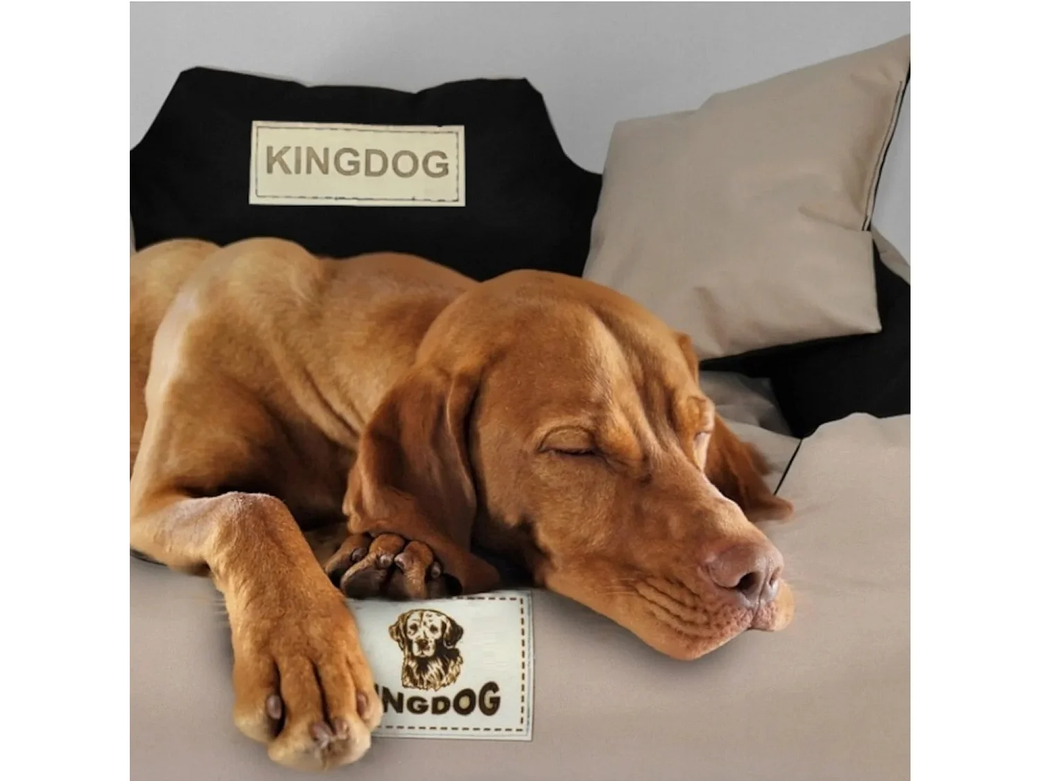 Letto KingDog Grigio Scuro per Cane o Gatto - Misura XL 115x95 con Cuscini Inclusi