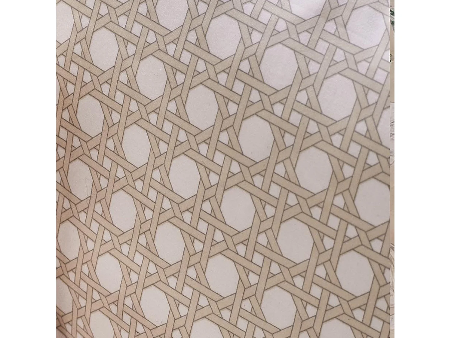 Drap housse en satin aux impressions de cannage