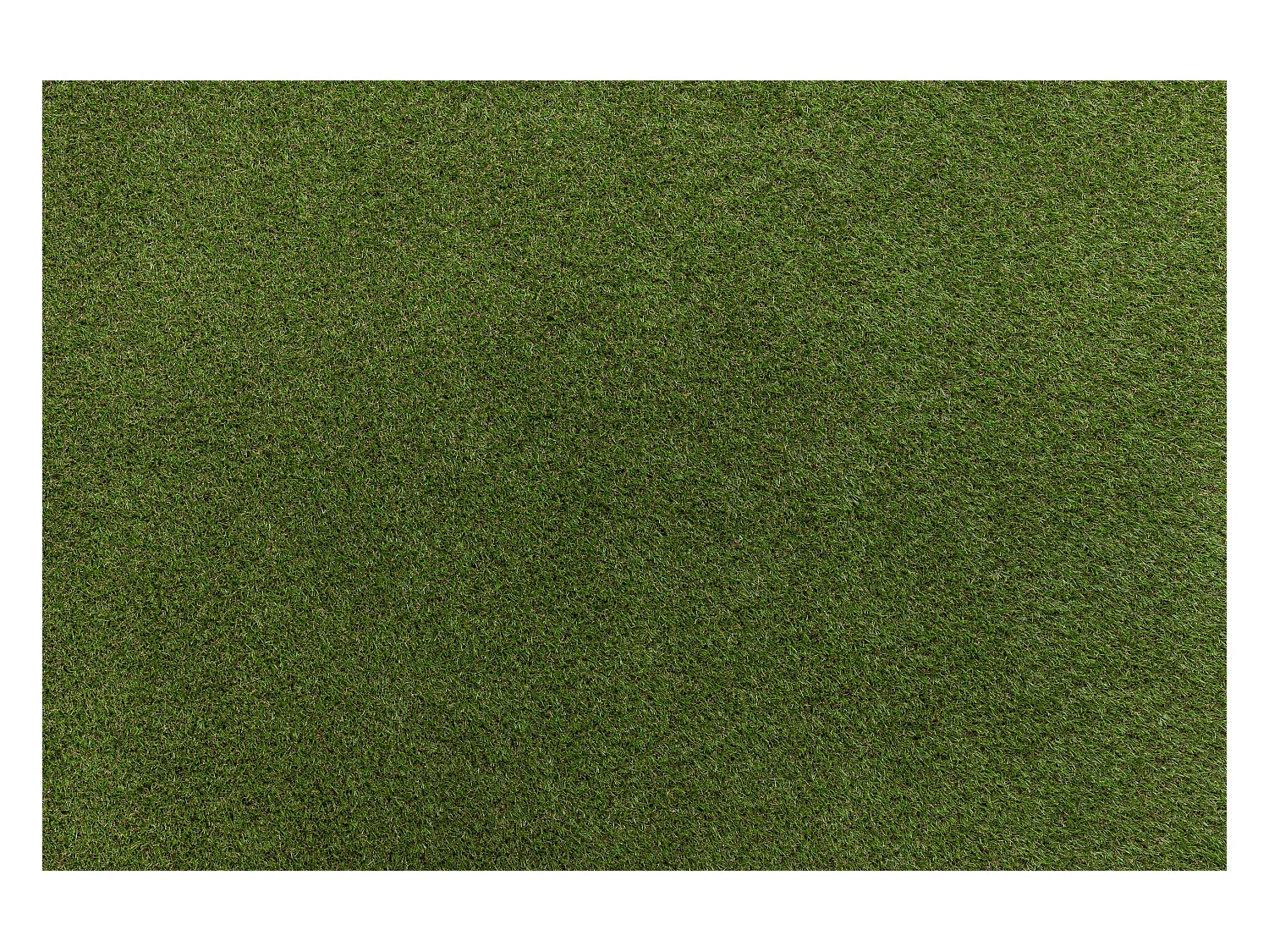 GAZON SYNTHÉTIQUE HAVANA dimensions standards 100x133 cm