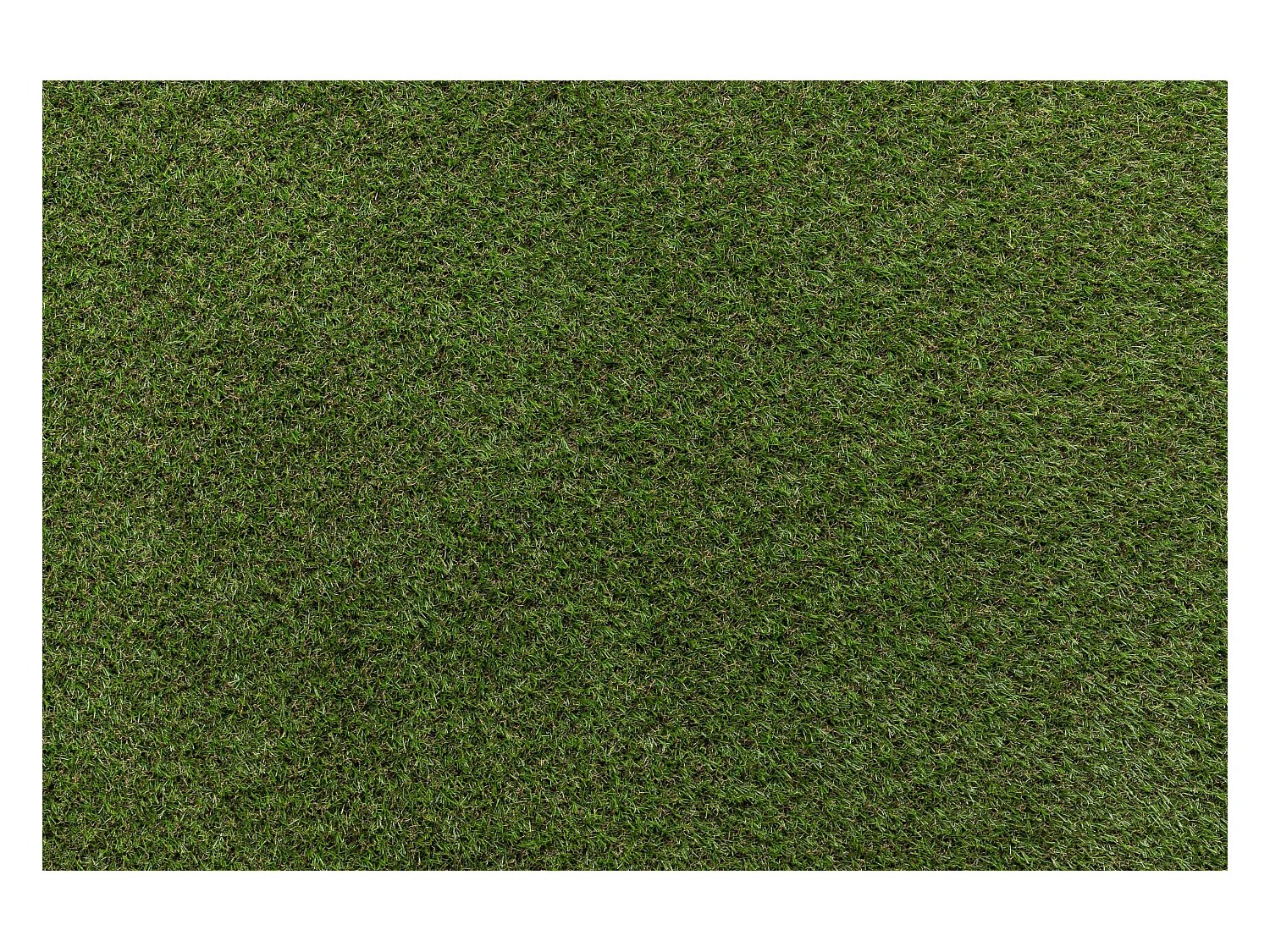 GAZON SYNTHÉTIQUE HAVANA dimensions standards 100x133 cm