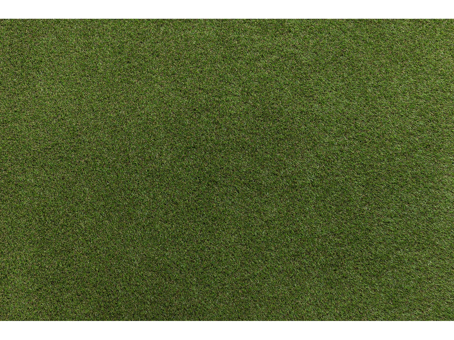 GAZON SYNTHÉTIQUE HAVANA dimensions standards 100x133 cm