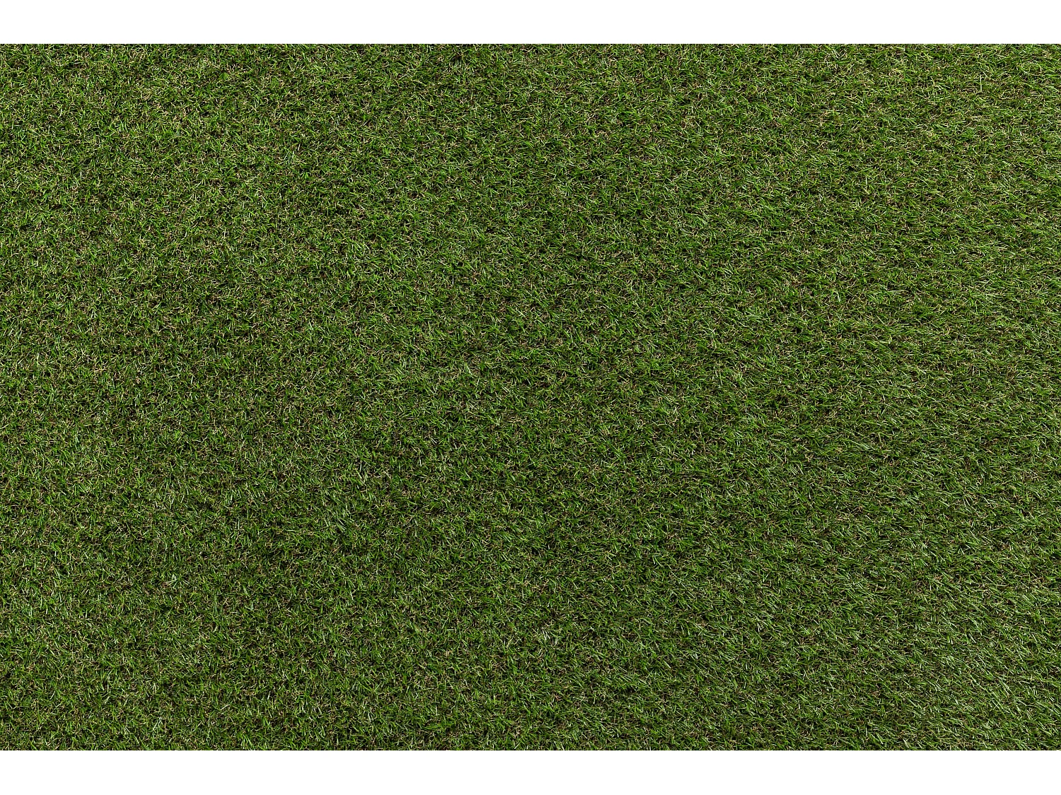 GAZON SYNTHÉTIQUE HAVANA dimensions standards 100x133 cm