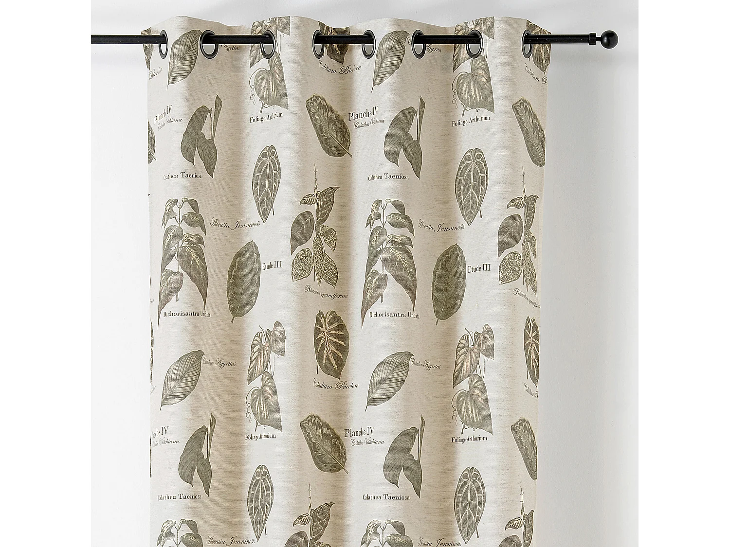 Cortina con Ojales Botánico Vintage 145 x 260 cm