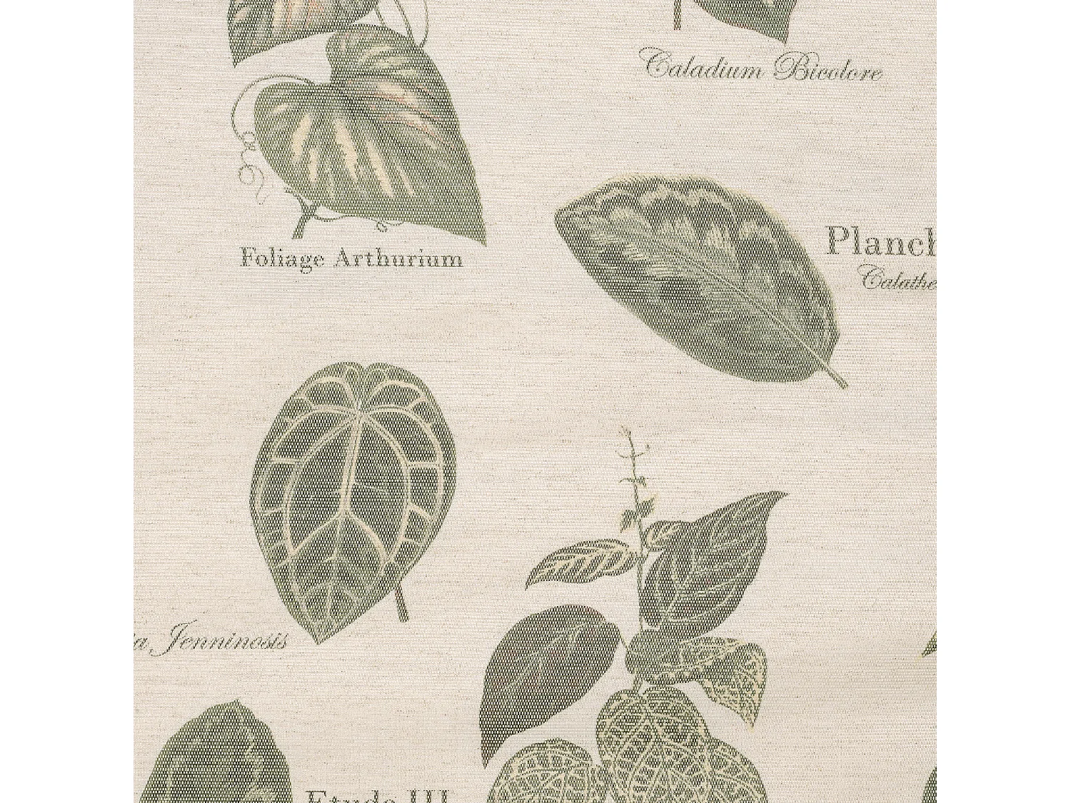 Cortina con Ojales Botánico Vintage 145 x 260 cm