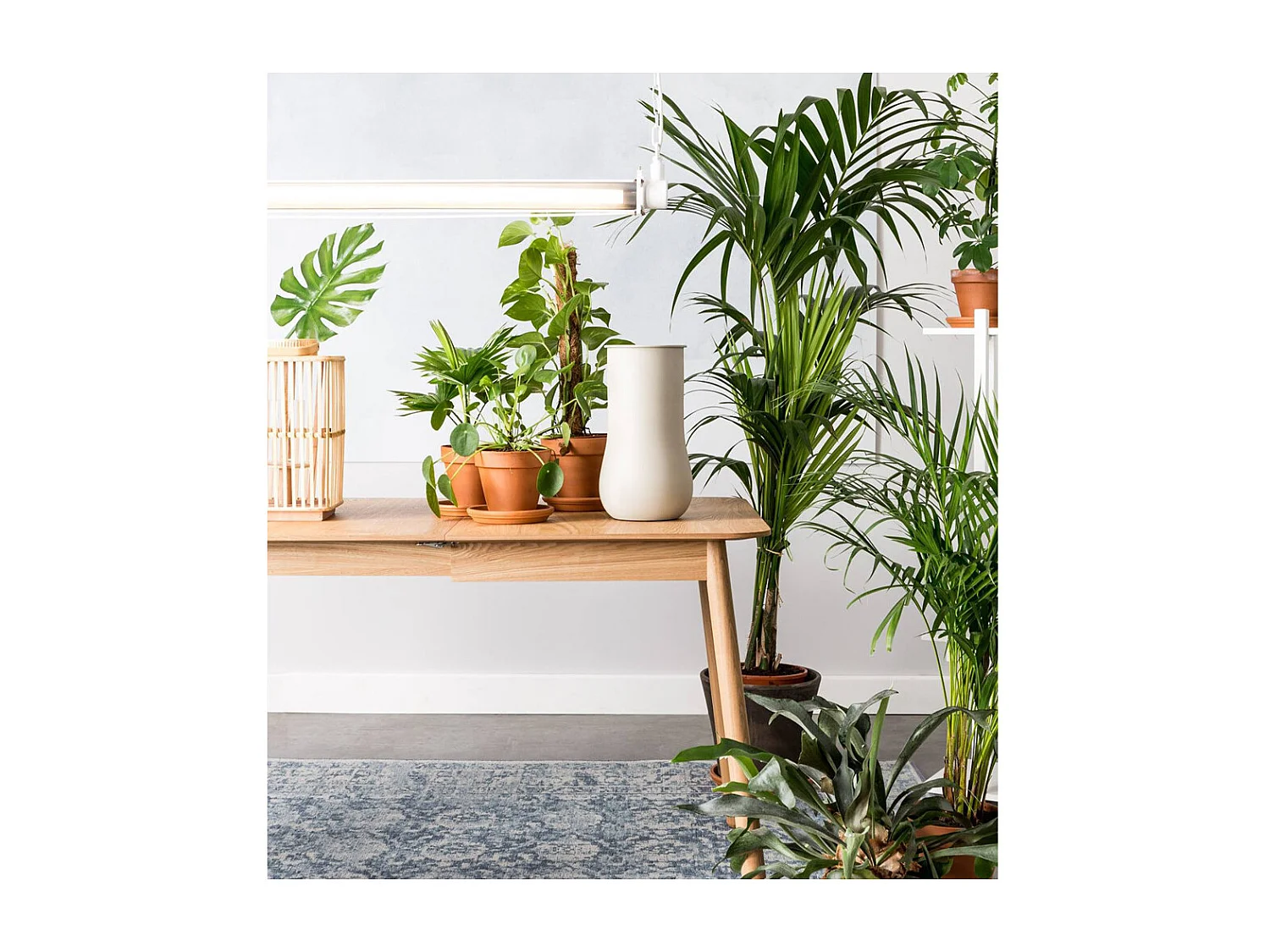 Glimps - Table à manger extensible 4 à 6 personnes 120-162x80cm en bois - Naturel