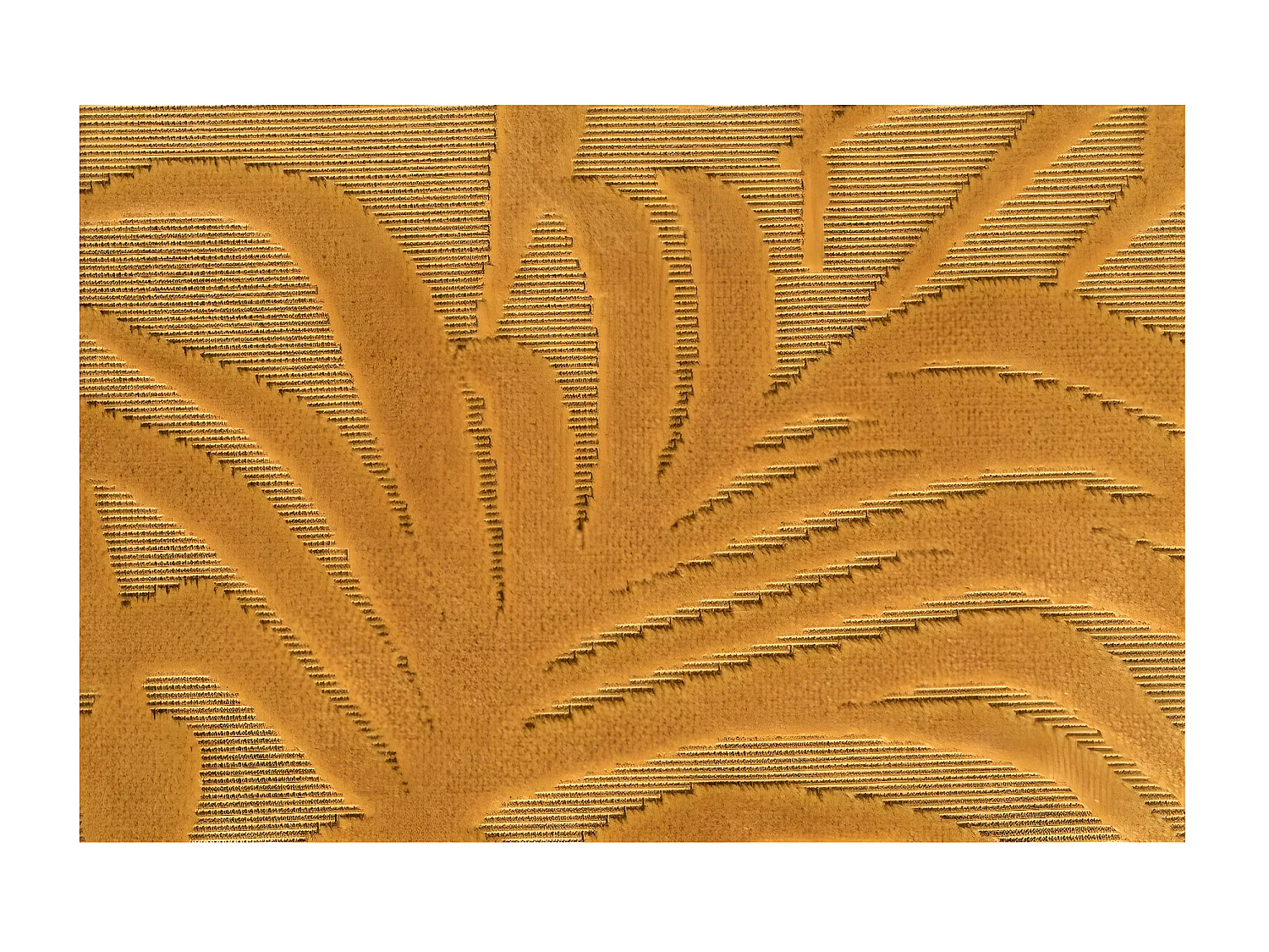 BACK TO MIAMI - Chaise de repas en velours brodé avec motifs exotiques