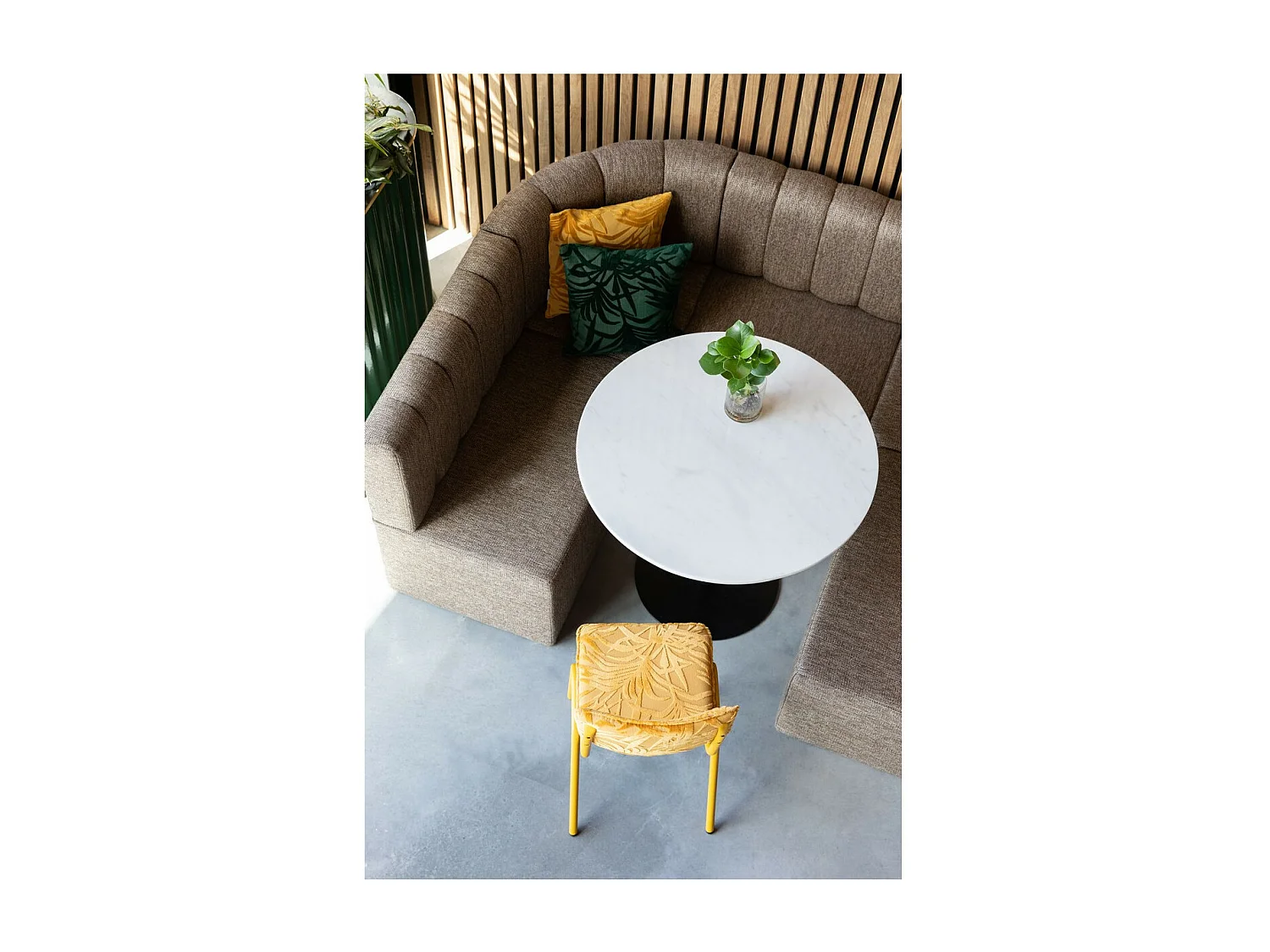 BACK TO MIAMI - Chaise de repas en velours brodé avec motifs exotiques