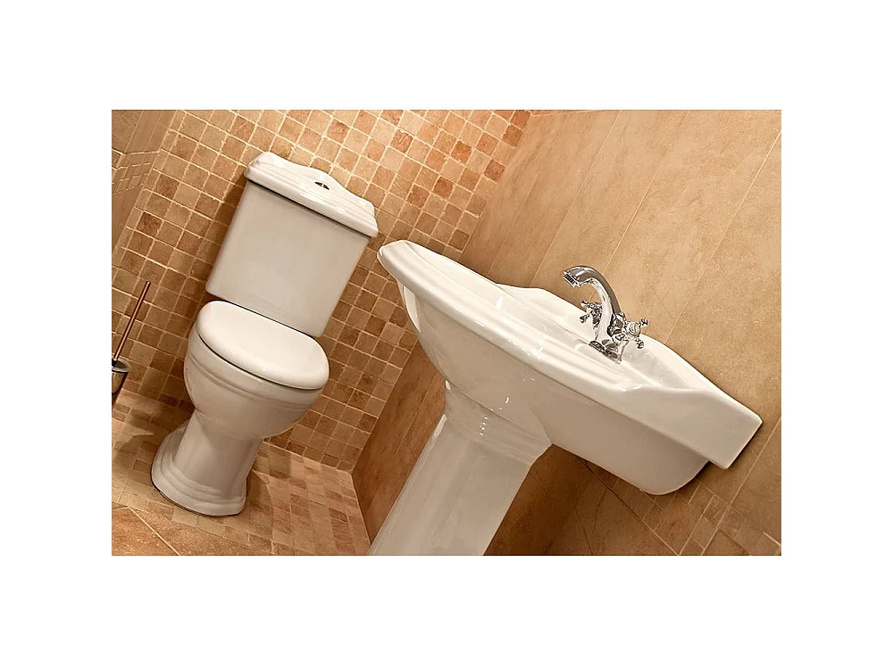 Toilette WC à poser rétro ABERY en céramique