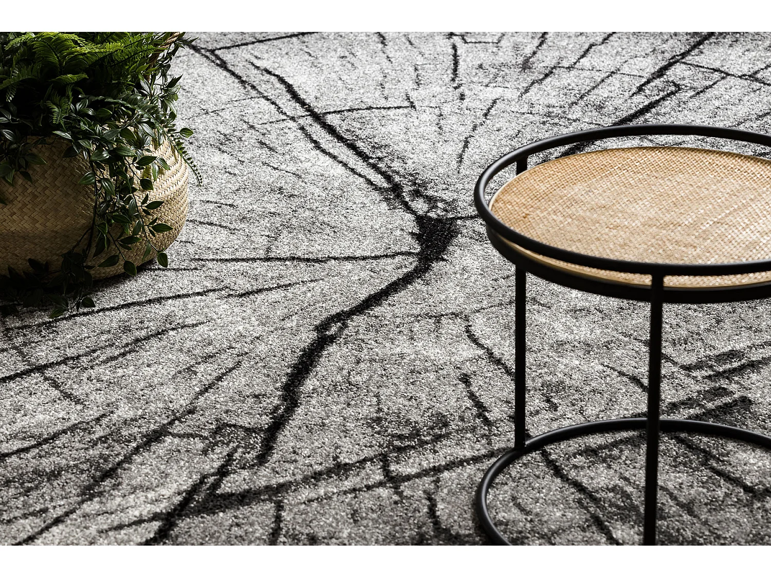 Tapis SILVER TRONKO Arbre Bois - gris 200x400 cm