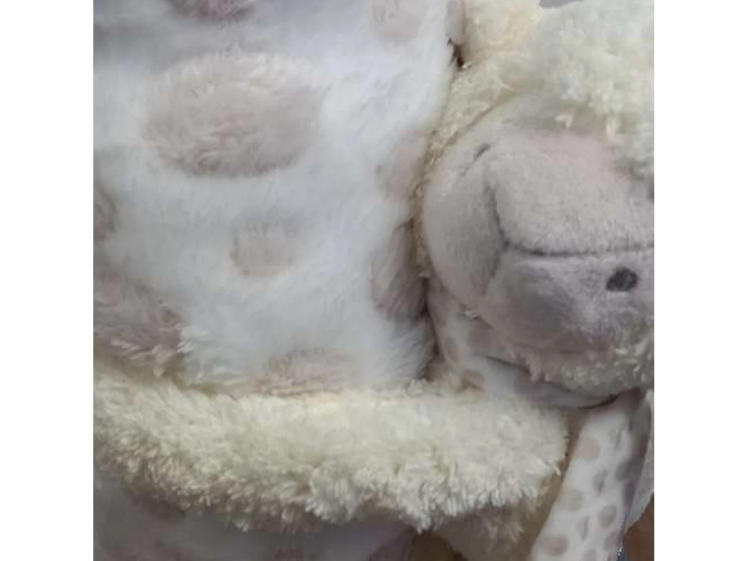 Peluche de oveja y manta 100 x 75 cm