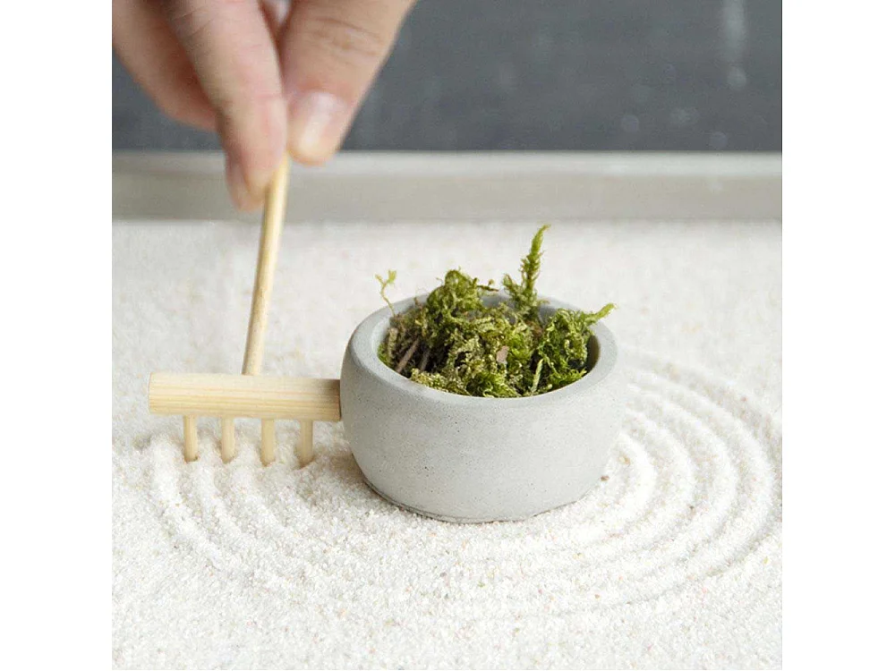 Jardin zen japonais Calm Rectangulaire